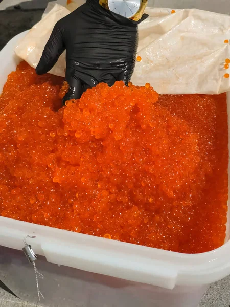 Mixing eggs with gloved hand. red caviar in a plastic container. — Stock Photo, Image