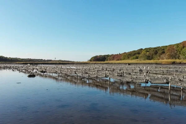 Ferme d'huîtres à l'étang. Cellules pour la culture d'huîtres . — Photo