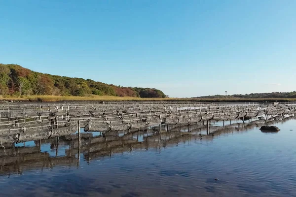 Ferme d'huîtres à l'étang. Cellules pour la culture d'huîtres . — Photo