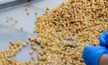 Dilimlenmiş mürekkep balığı dokunaçları, eldivenle parmak.,