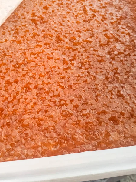 Röd kaviar i plastbehållare. Laxkaviar, dietmat. — Stockfoto