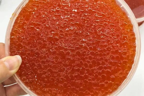 Caviar vermelho em recipiente de plástico. Caviar de salmão, dieta alimentar . — Fotografia de Stock