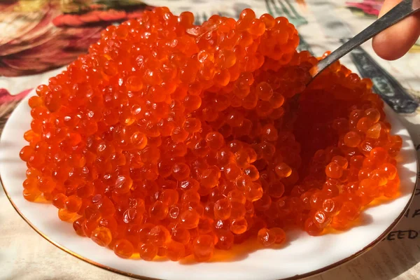 Roter Kaviar auf dem Teller auf dem Tisch. Lachskaviar. Ernährungsnutriti — Stockfoto