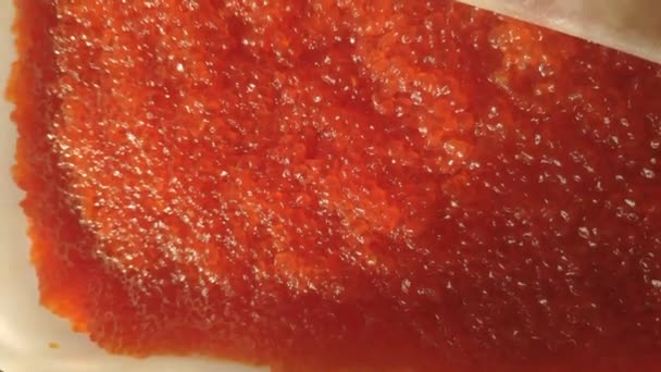 Misturar Ovos Com Uma Mão Enluvada Caviar Vermelho Num Recipiente — Vídeo de Stock