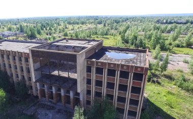 Ağaçlar ve çimlerle kaplı terk edilmiş eski bir gökdelen..