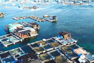 Kıyı sularındaki balık çiftliği. Dikdörtgen kafesler