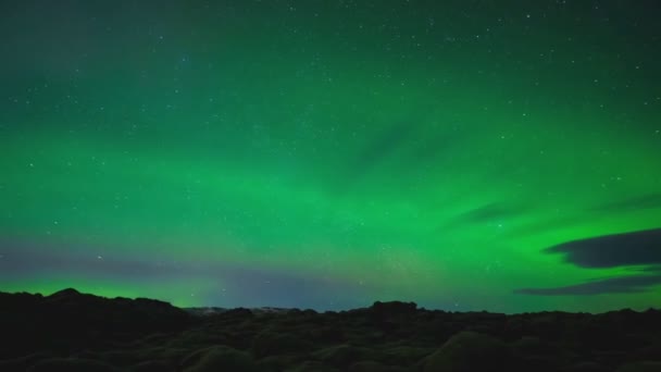 北方夜空中的北极光。 上层大气中空气粒子的电离. — 图库视频影像