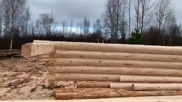 Trocknung und Montage des Holzblockhauses auf einer Baubasis. Vorbereitung von Rundhölzern für die Montage der Struktur. Materialien für ein Holzhaus. — Stockvideo