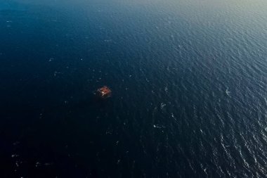 Karadeniz bilim platformu, sondaj, keşif.