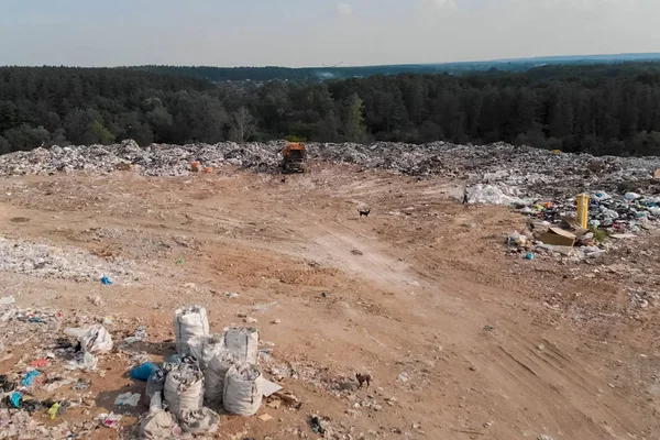 Basura, vista superior de la basura. Vertedero . — Foto de Stock