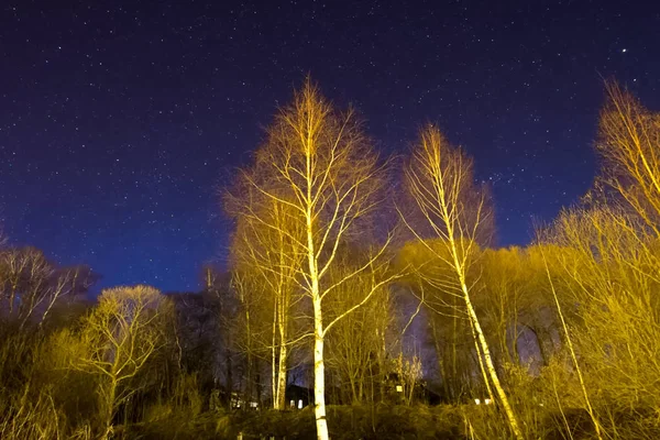 Timelapse ciel étoilé fond vidéo étoiles dans le ciel nocturne et le — Photo
