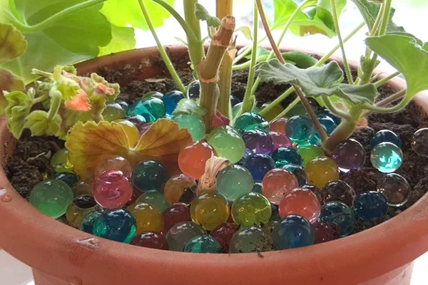 Bolas de mármores de vidro em pote com uma planta de sala . — Fotografia de Stock