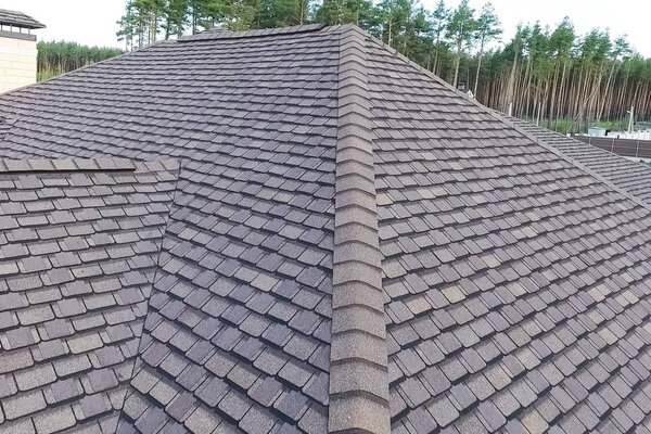 Bituminous tile for a roof. House with a roof from a bituminous 