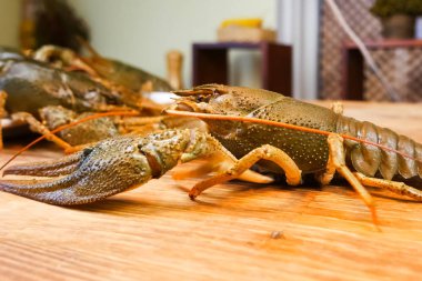 Masada canlı kerevit var. Kerevit pişiriyorum..