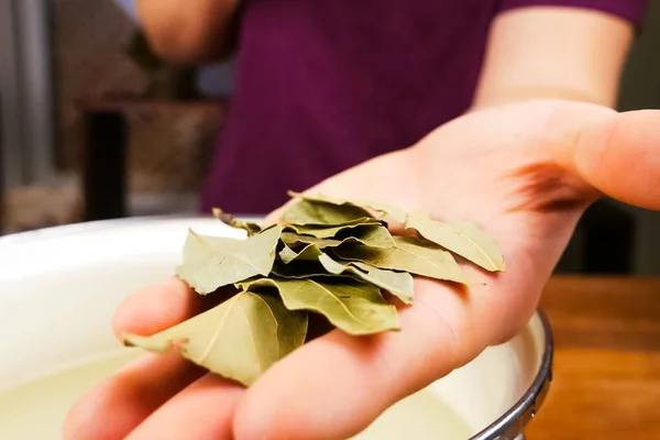 Листя лаврового листа в руці кухарів. Приправлений лист затоки — стокове фото