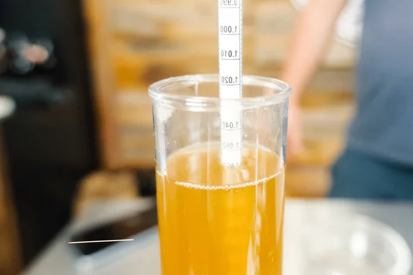 Měření obsahu alkoholu v pivu. Hydrometr ve skle b — Stock fotografie