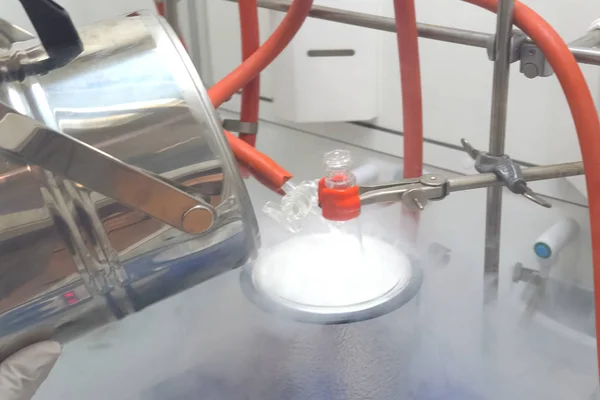 Sıvı nitrojen ile fiziksel deneyler — Stok fotoğraf