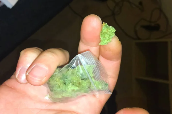 Um saco de marijuana nas mãos de um homem rastejante. Dose de marijua — Fotografia de Stock
