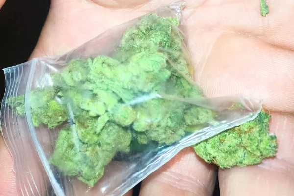 Bolsa de marihuana en manos de un hombre rastamán. Dosis de marijua — Foto de Stock