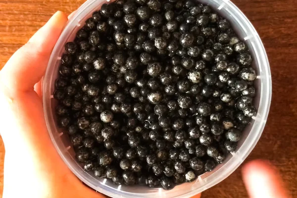 Black caviar in plastic container on the table. Delicious caviar — Stock Photo, Image