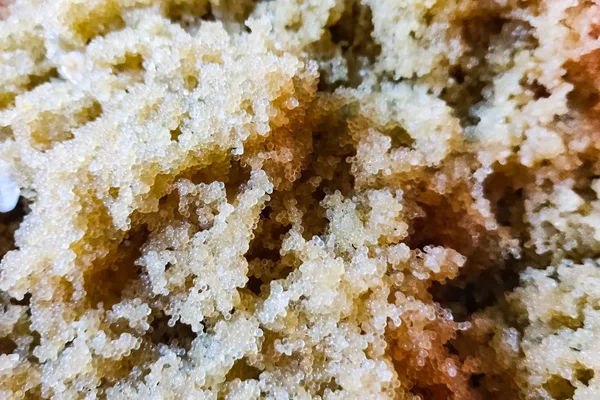 Caviar of carp. Collecting carp caviar in basin. — Stock Image Caviar of carp. Collecting carp caviar in basin. Stock Photo
