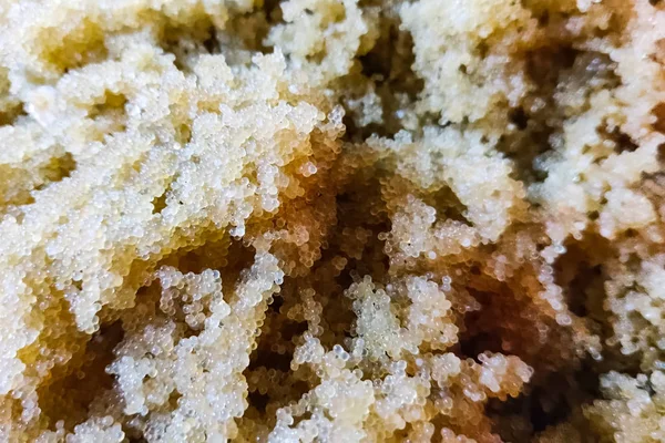Caviar of carp. Collecting carp caviar in basin. — Stock Image Caviar of carp. Collecting carp caviar in basin. Stock Image