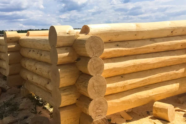 Drying and assembly of wooden log house at a construction base. — Stock Photo, Image