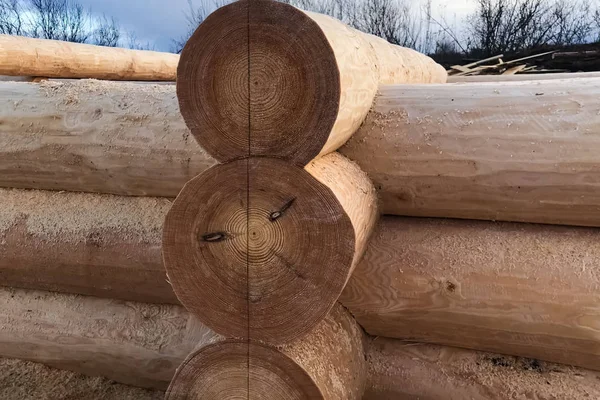 Drogen en monteren van houten houten blokhutten op een bouwbasis. — Stockfoto