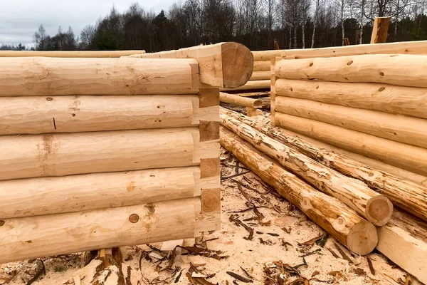 Drying and assembly of wooden log house at a construction base. — ストック写真