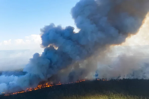 러시아 숲에서 화재, 화재에 트랜스 바이칼 숲, 불타는 — 스톡 사진