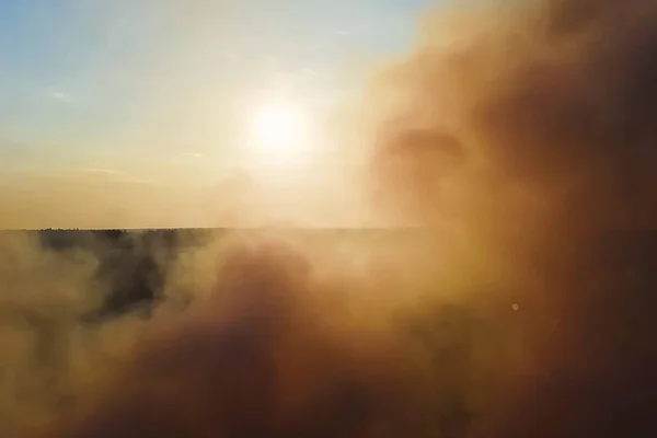 Požár v ruském lese, Transbaikal Les v plamenech, pálení — Stock fotografie