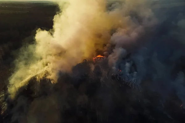 Incêndios na floresta russa, floresta Transbaikal em chamas, queima de — Fotografia de Stock