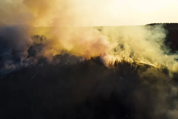 Požár v ruském lese, Transbaikal Les v plamenech, pálení — Stock fotografie