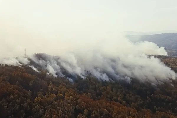 Пожары в Русском лесу, Забайкальском лесу в огне, — стоковое фото