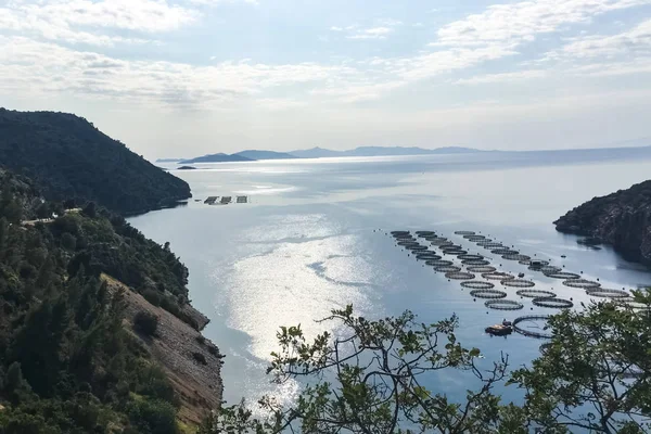 Denizde balık çiftliği. Balık çiftliğinin en iyi manzarası.