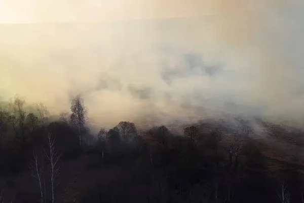 Bränder i rysk skog, Transbaikal skog i brand, bränning av Royaltyfria Stockbilder