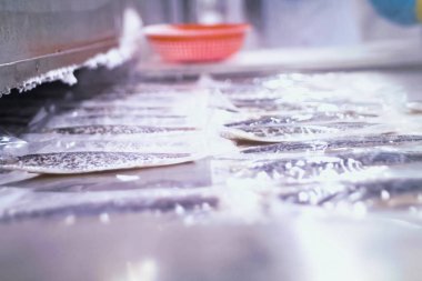 Buzdolabında donmuş somon balığı var. somon balığı