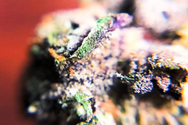 Kenevir şişirme ipuçlarının makro fotoğrafı, kenevir üzerindeki thc kristalleri