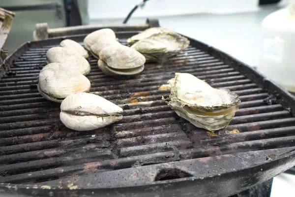 Grilled oysters on grill in the open air. — Stock Photo, Image