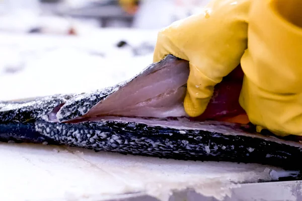Cuchillo para cortar salmón, destripar pescado en la cocina —  Fotos de Stock