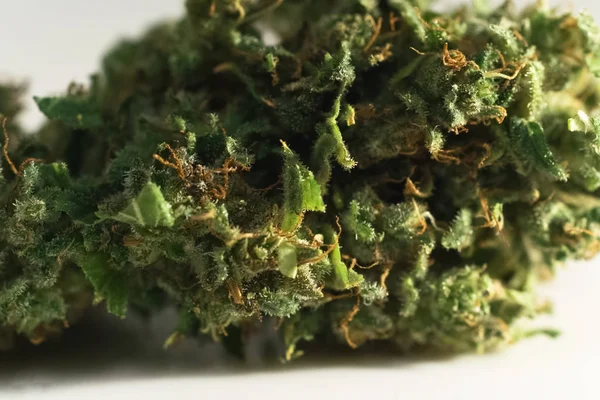 Makrofoto av pressad cannabis. a Tryckt marijuana nära. — Stockfoto