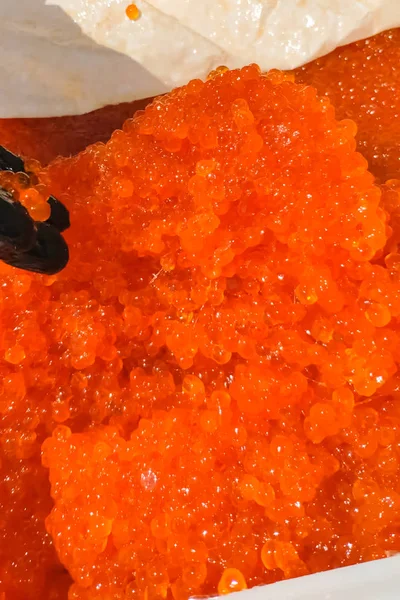 Röd kaviar i plastbehållare. Laxkaviar, dietmat. — Stockfoto