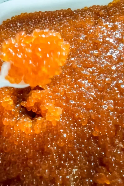 Caviar rojo en un recipiente de plástico. Agitación con una cuchara de plástico o — Foto de Stock