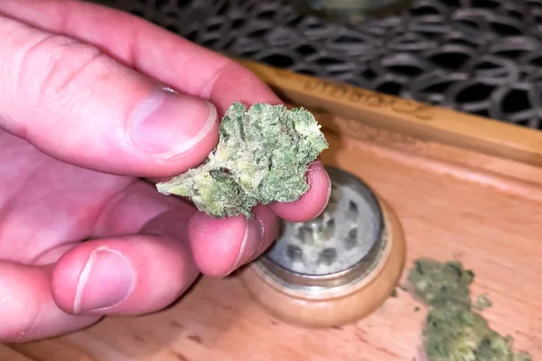Kleine gedroogde cannabis bloeiwijze. Dope marihuana van hennep inf — Stockfoto