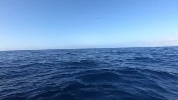 Bela Paisagem Marinha Sunset Ocean Ondas Oceânicas Paisagem Marítima — Vídeo de Stock