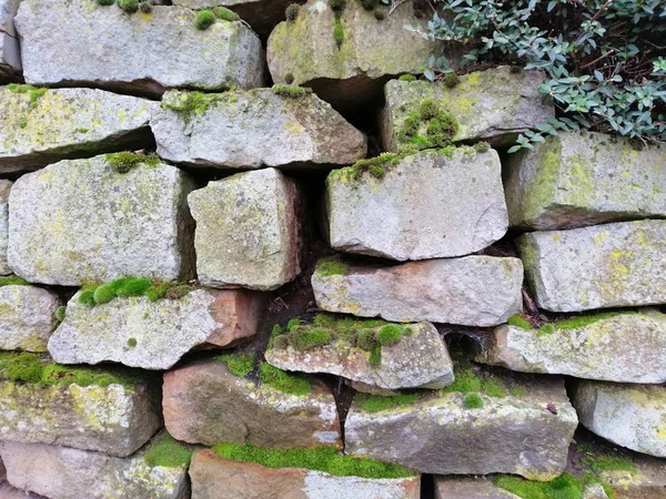 Texture of the old stone wall with moss. — Stock Photo, Image