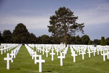 Colleville-Sur-Mer, Fransa. 25 Temmuz 2018: II. Dünya Savaşı askerleri Collevile, Normandiya 'daki Amerikan mezarlığındaki ağaçların arasına gömüldü. 1944 'te Normandiya çıkartmasının yapıldığı Collevile köyü yakınlarındaki Omaha sahilinde.