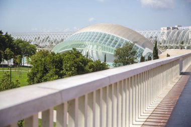 Valencia, İspanya. 14 Temmuz 2019 - Kültürel ve mimari bir kompleks olan Ciudad de las Artes y las Ciencias, Santiago Calatrava mimarisi tarafından inşa edilen en önemli modern İspanyol turizm merkezlerinden biridir.. 