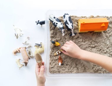 Montessori kumaşı. Çocuk elleri bir hayvan figürünü canlandırıyor. Kinetik kum