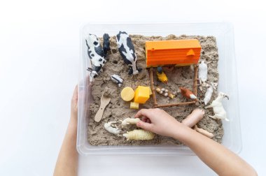 Montessori kumaşı. Çocuk elleri bir hayvan figürünü canlandırıyor. Kinetik kum